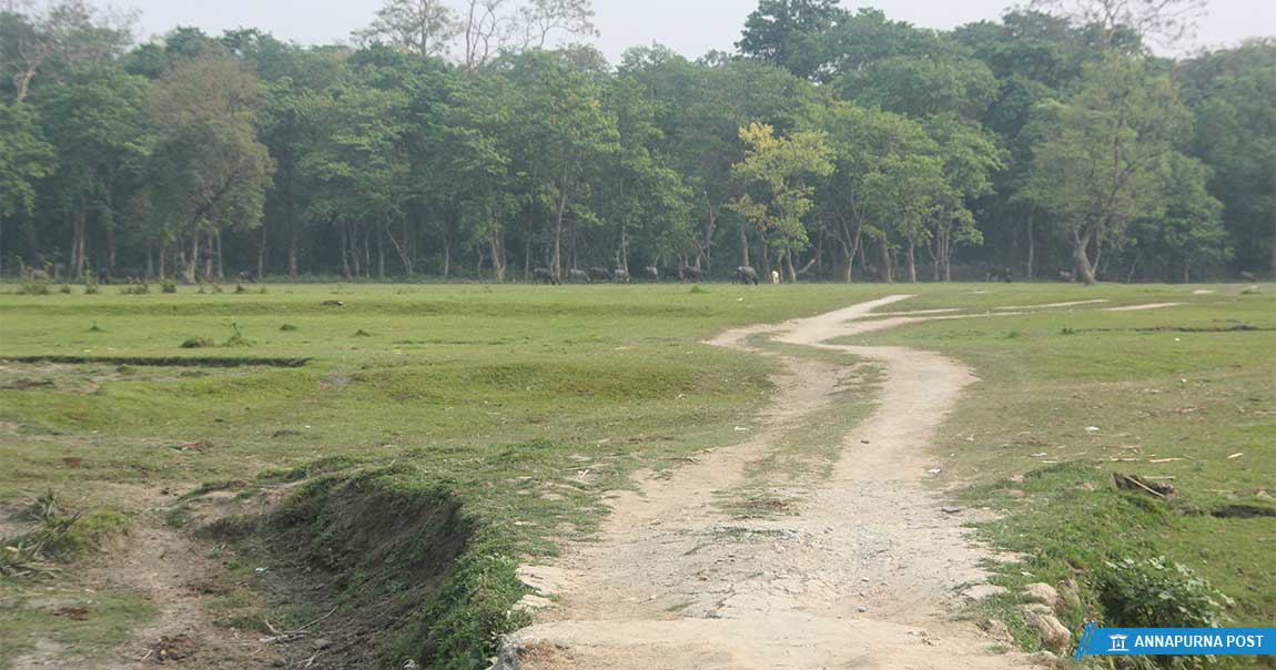 सुस्तामा सीमा अतिक्रमण : जनता बोल्छन्, बोल्दैन सरकार image