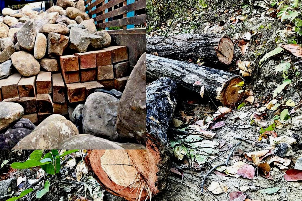 ‘हरियो बन तस्करीको धन’: तस्करीमा जनप्रतिनिधि नै संलग्न