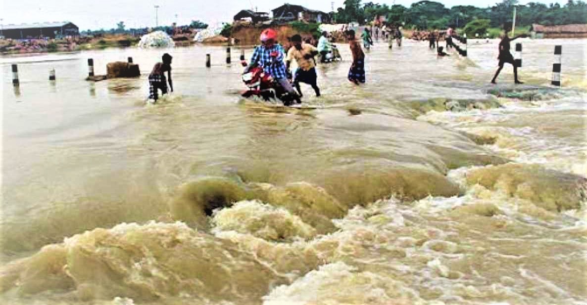 बाढीबाट १११ जनाको मृत्यु, आसाममा ठूलो धनजनको क्षति image
