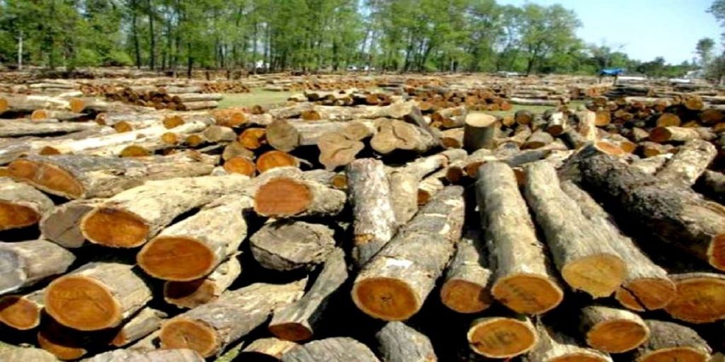 घप्पुसहित दाङमा ११ जना पक्राउ