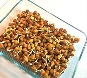 chana
