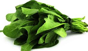 Palak 