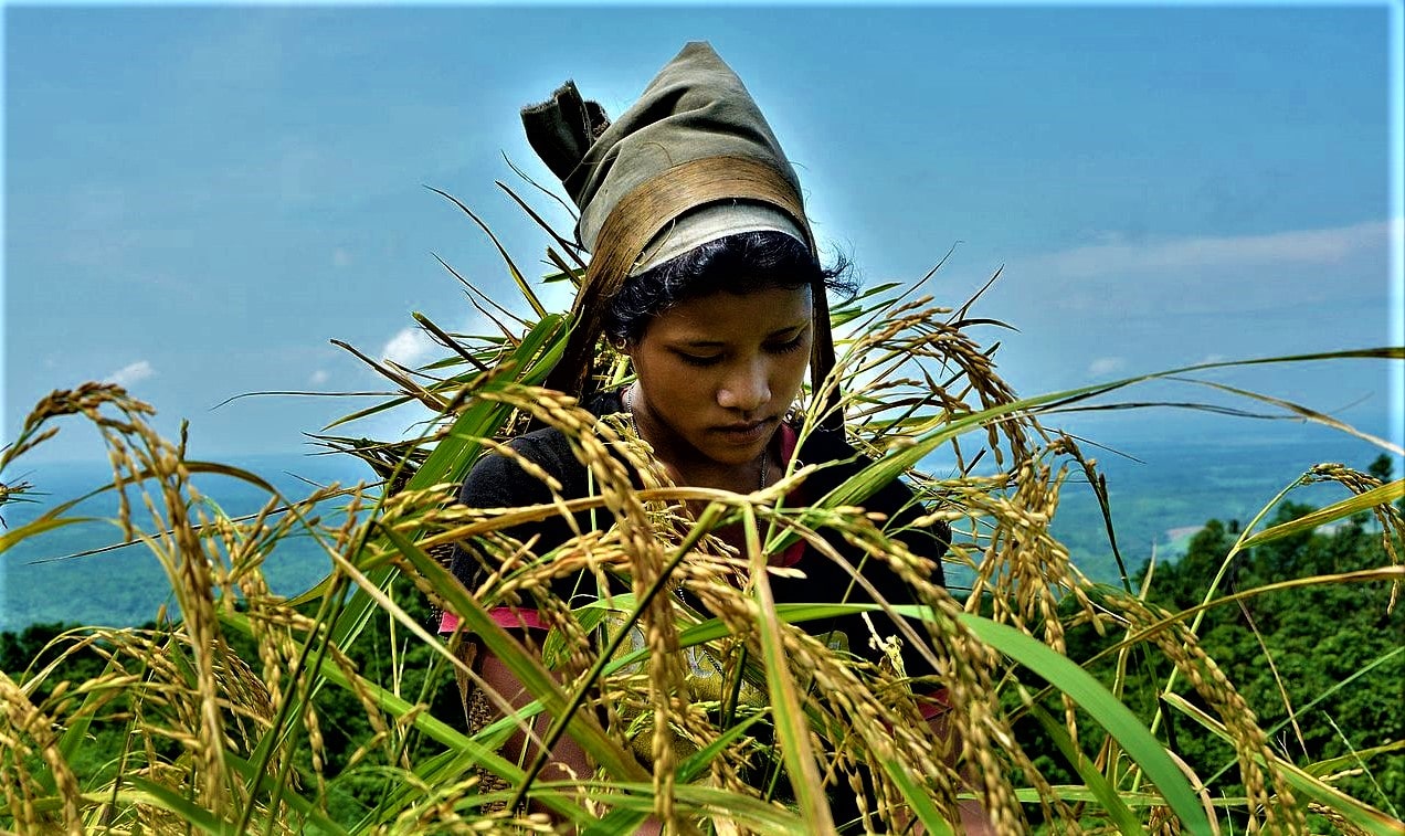 कृषकलाई प्रोत्साहन रकम वितरण image