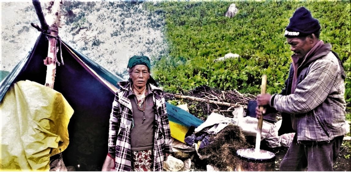 खर्कमै बित्यो हुम्लीको आधा शताब्दी image