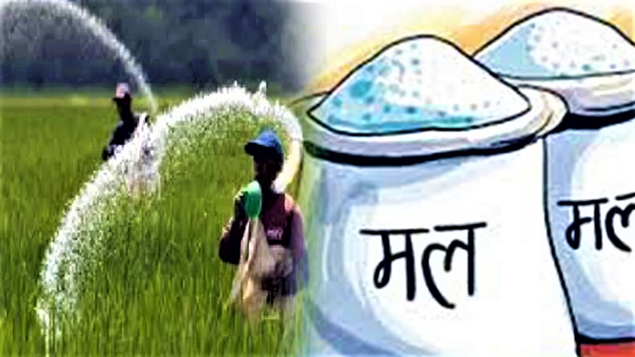 विदेशबाट सरकारले ५० हजार टन मल पैंचो ल्याउदै image