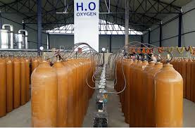 प्राणवायुलाई प्राण धान्न धौधौ image