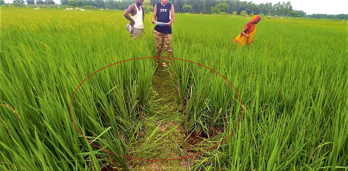 सामूहिक बलात्कार पछि उजुरी दिन जाँदा ‘पञ्चेती’ले रोकेपछि १७ वर्षीया किशोरीले गरिन् आत्महत्या image