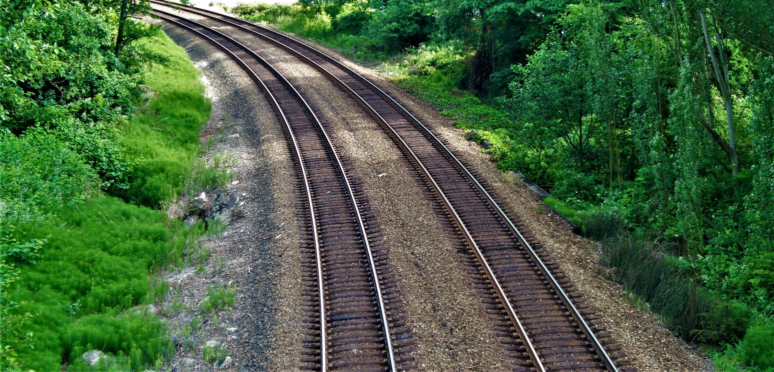 बिलो लाउनै लागेको रेल ठेक्काको ३३ अर्ब रोकियो image