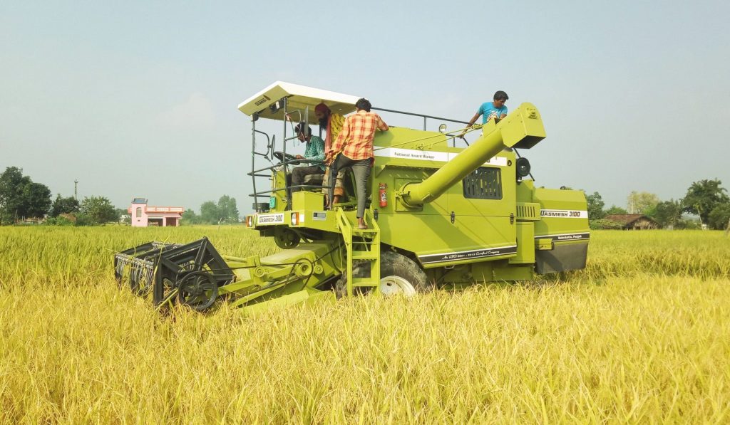 मेसिनले धान काट्दै मकवानपुरका किसान