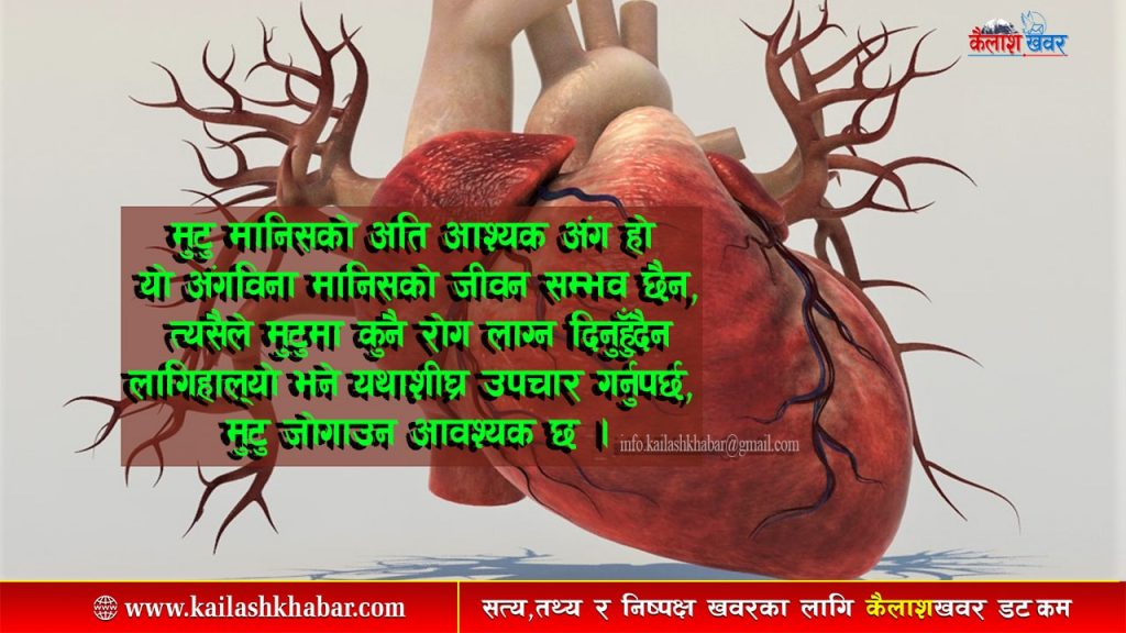 खानपीन जीवनशैलीले मुटुलाई यसरी बचाउन सकिन्छ !