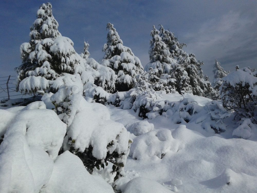 हिमाली भू–भागमा हिमपात, काठमाडौंमा चिसो बढ्यो