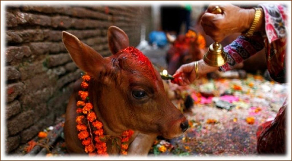 आज गाई तिहार