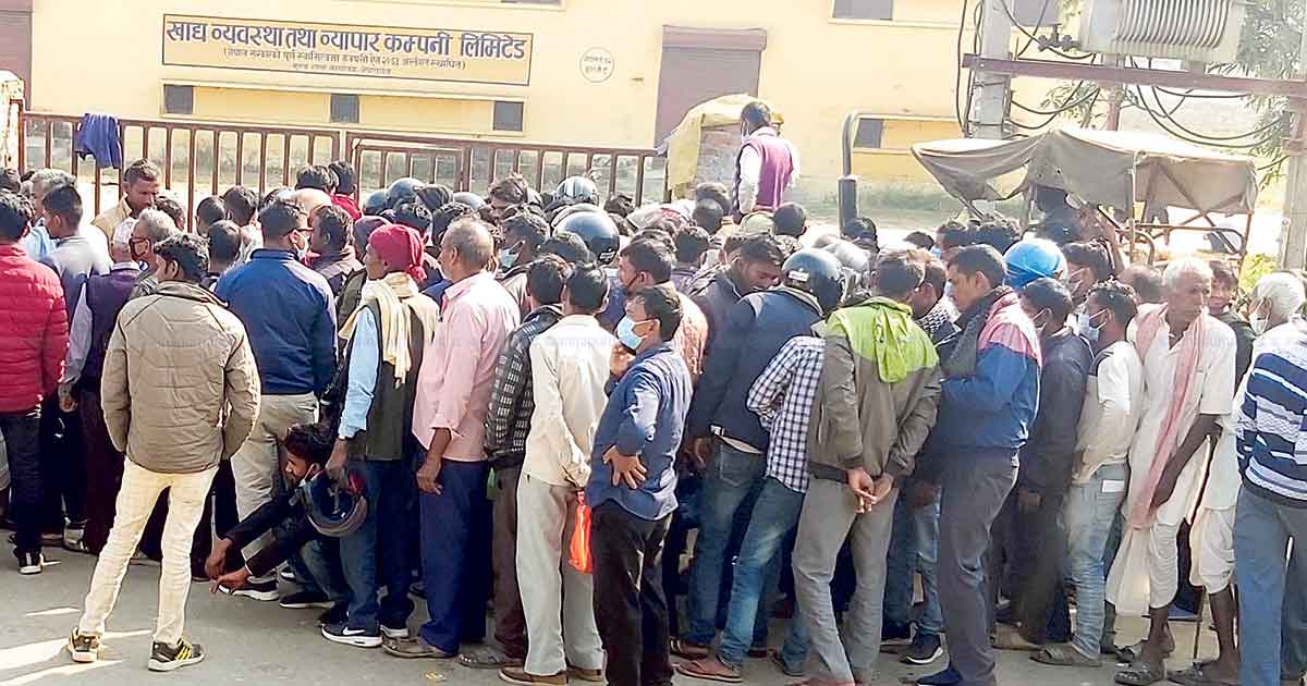 सरकारले तोकेभन्दा ९ सय घटीमा बेच्न बाध्य, कार्यविधि ढिला आउँदा बिचौलियालाई फाइदा image