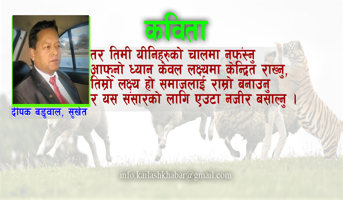 ‘भेड़ा बाख्रा जस्तो होइन, बाघको जस्तो जिउने गर्नु’ image