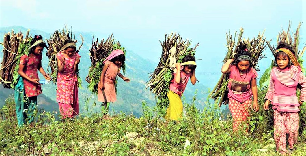 बिरानो भो विद्यालय image