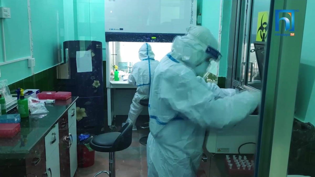 भारतमा ५६ हजार ११९ जनामा नयाँ संक्रमण image