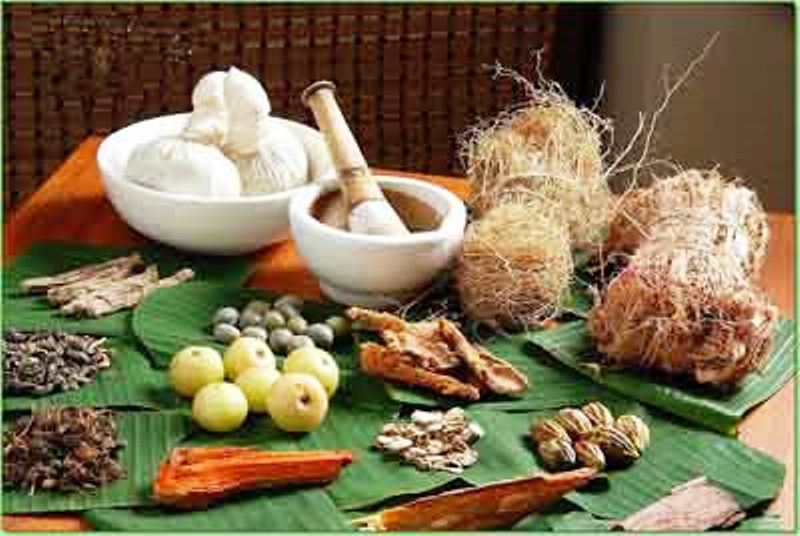 उत्पादनहीन भूमिमा जडिबुटी खेती प्रवद्र्धन गरिँदै image