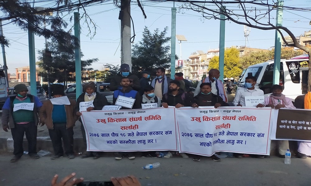 ७ चिनी उद्योगले किसानलाई ८९ करोड तिर्न बाँकी image