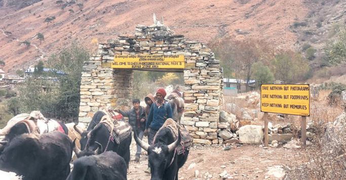 उपल्लो डोल्पालीका दुःख image