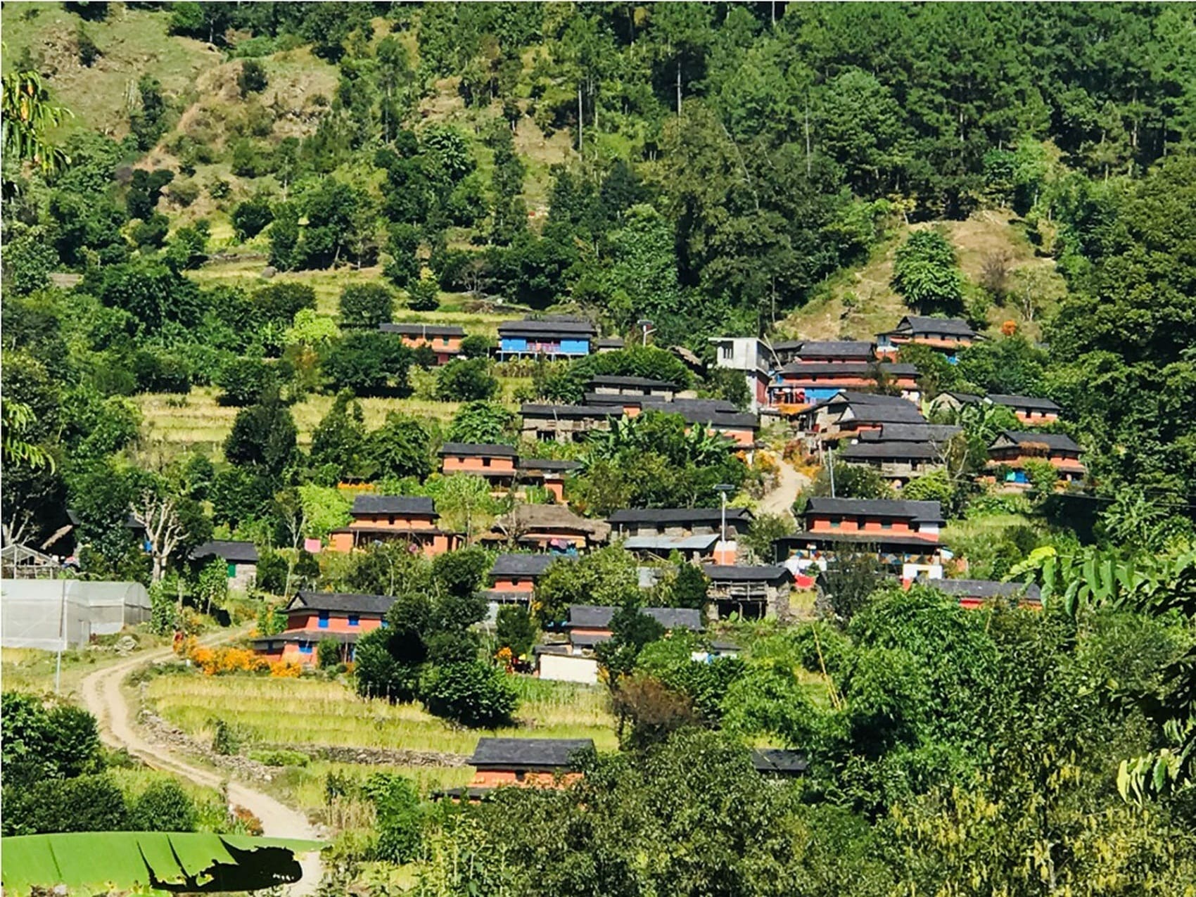 घरबासले ल्यायो महिलाहरुको जीवनमा परिर्वतन image