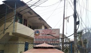pasu