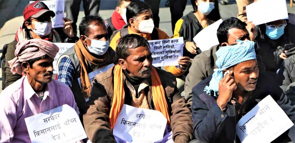 उखु किसानको बाँकी रकम सरकारी नियन्त्रणमा