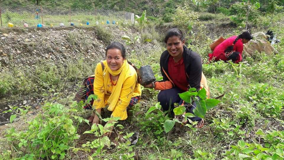 कृषिमा वैदेशिक लगानीप्रति आपत्ति