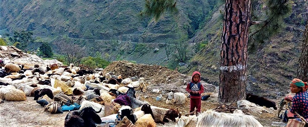 बाटोमै जन्म, बाटोमै मरण image