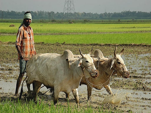 छत्रकोटले ल्यायो कृषक पेन्सन कार्यक्रम image