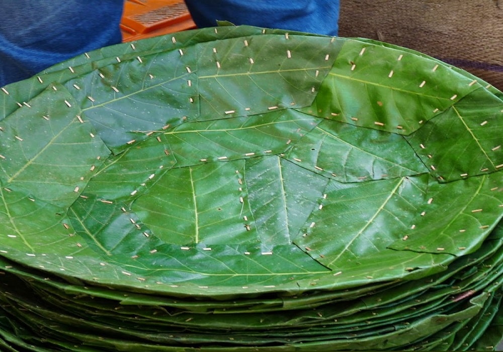 महिलाले थाले दुनाटपरीको व्यावसायिक उत्पादन