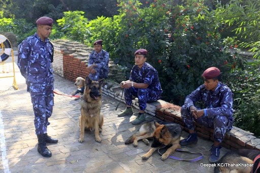 भीआईपीले नियमविपरीत राखेका सुरक्षाकर्मी धमाधमफिर्ता image