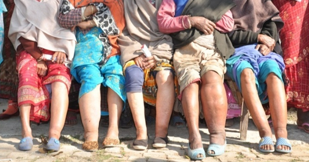 हात्तीपाइले रोगविरुद्धको चक्की खुवाउने image