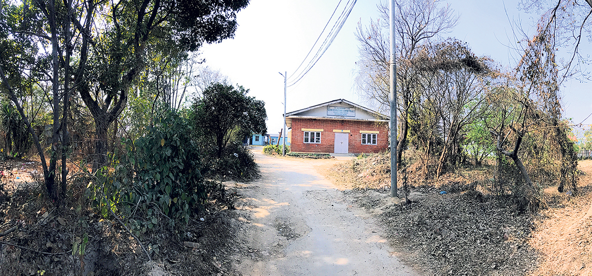 विमानस्थलको जग्गामा यतीको आँखा image