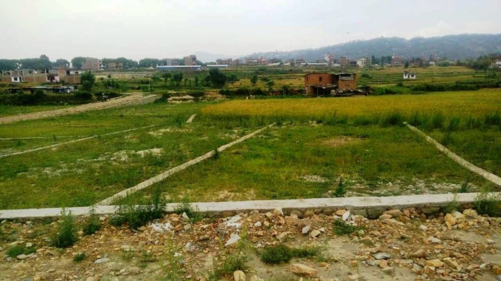 क्याम्पसलाई १४ कठ्ठा जग्गा दान