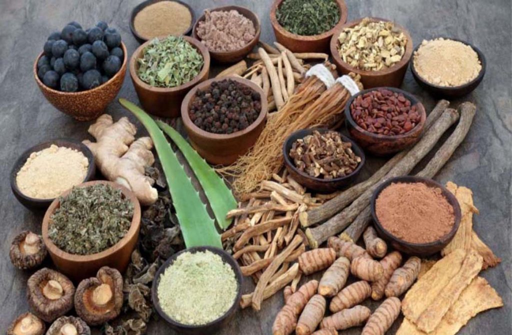 आयुर्वेद चिकित्साबाट पनि उपचार शुरु