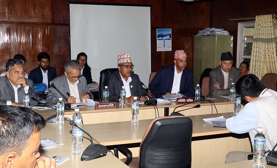 पूँजीगत खर्च र पूर्वाधार निर्माणमा किन लक्ष्य भेटिएन : अर्थ समिति