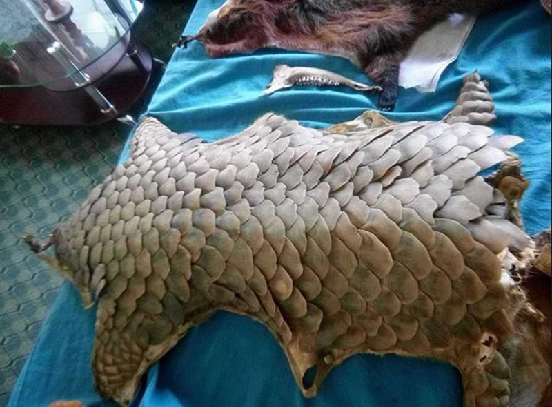 कपनबाट सालकको खपेटासहित दुई पक्राउ