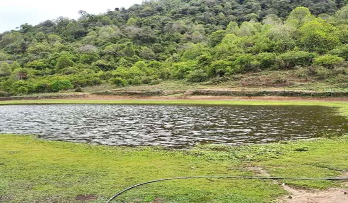 पर्यटन प्रवद्र्धन गर्न दाम्राङ पोखरीसम्म सडक image