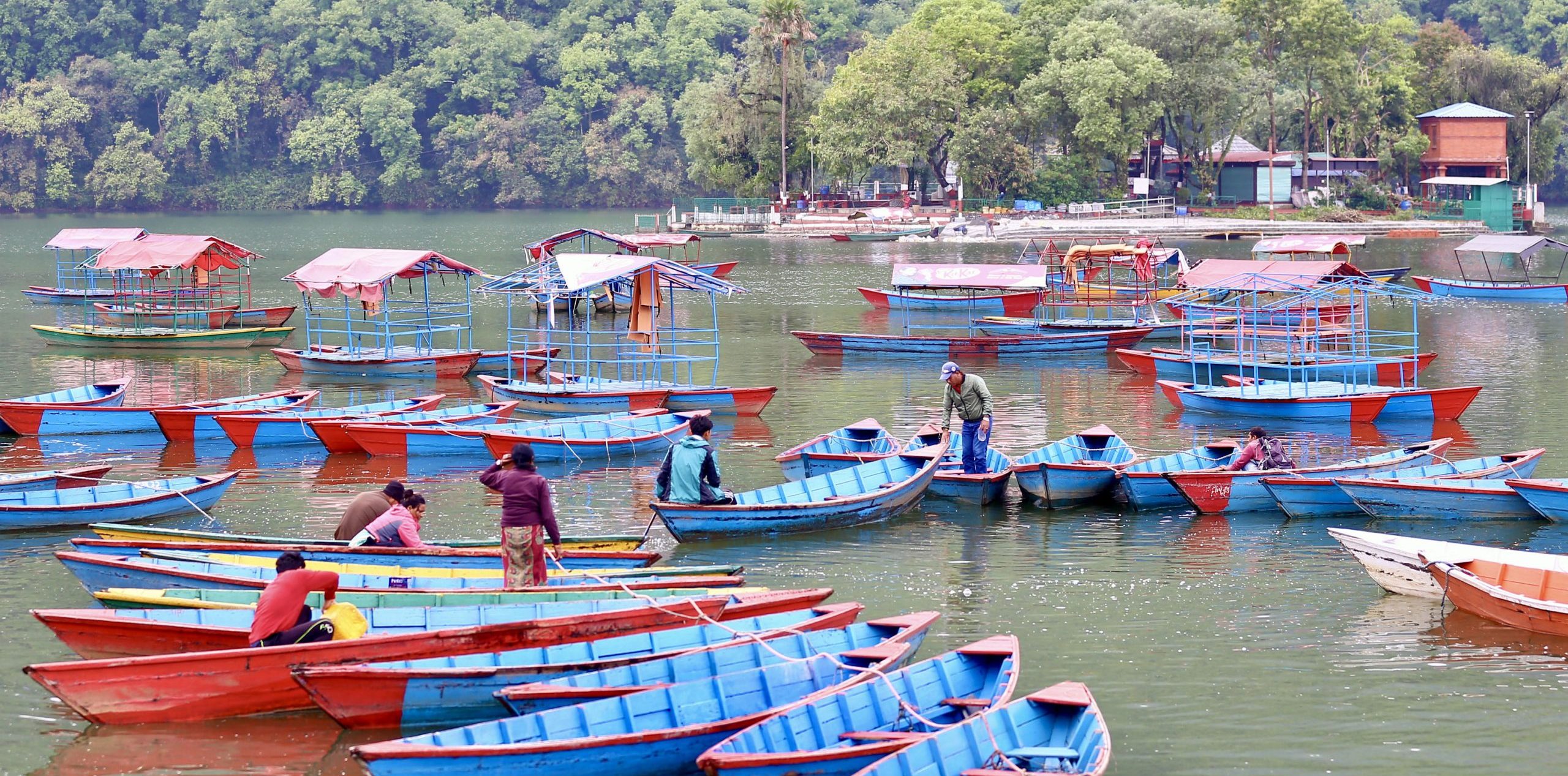 नयाँ वर्षमा प्रविधिमैत्री जाउँ है पोखरा अभियान image