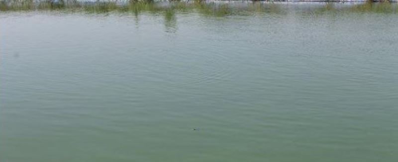११ पोखरीको पुनःनिर्माणसहित पानी भरियो
