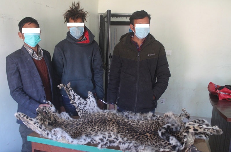 चितुवाको छाला र हड्डीसहित दुई पक्राउ