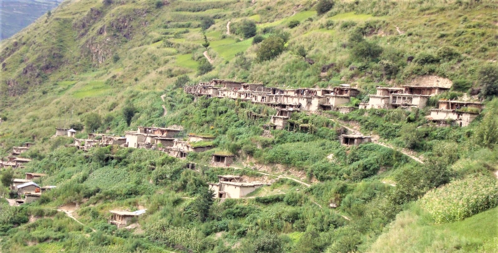 हुम्लाका पाँच गाउँपालिकामा फैलियो कोरोना image