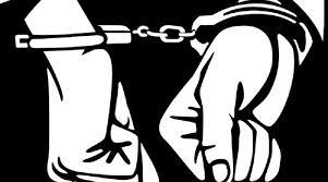 भारतबाट काठ काटेर ल्याउने पक्राउ