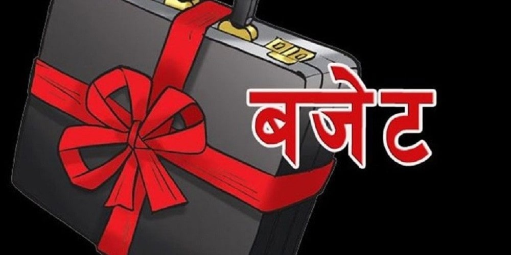 बजेट विनियोजनको विवरण माग image