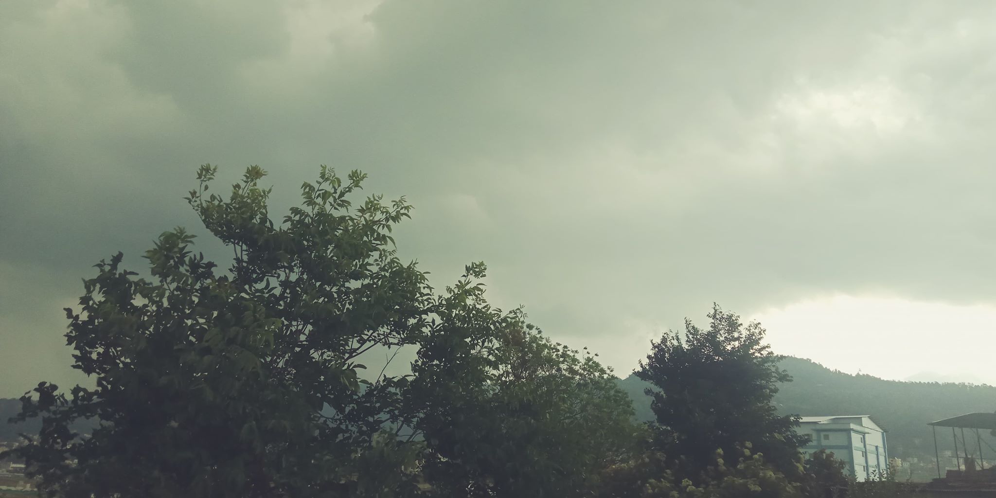 तत्काल मनसुन कमजोर हुने अवस्था छैन स् मौसमविद् image