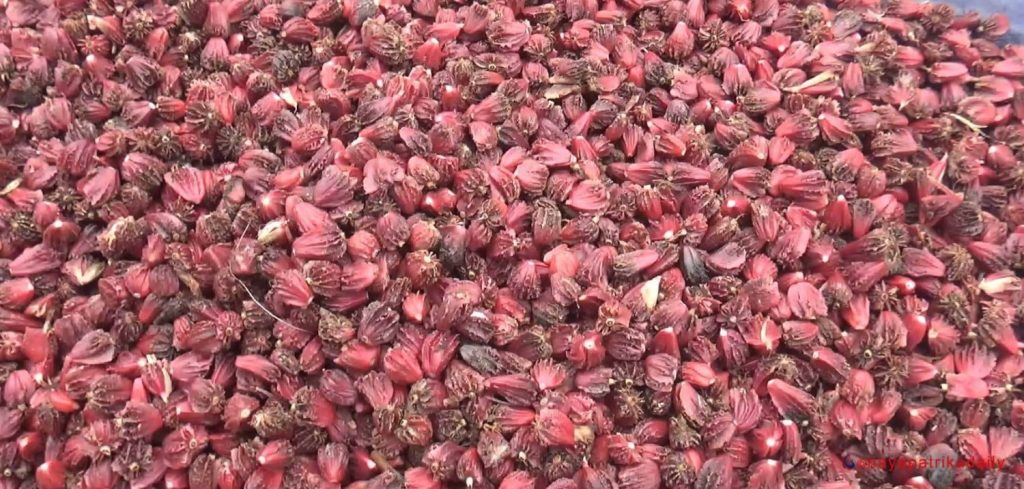 अलँैचीबाट एक अर्ब ३५ करोड आम्दानी