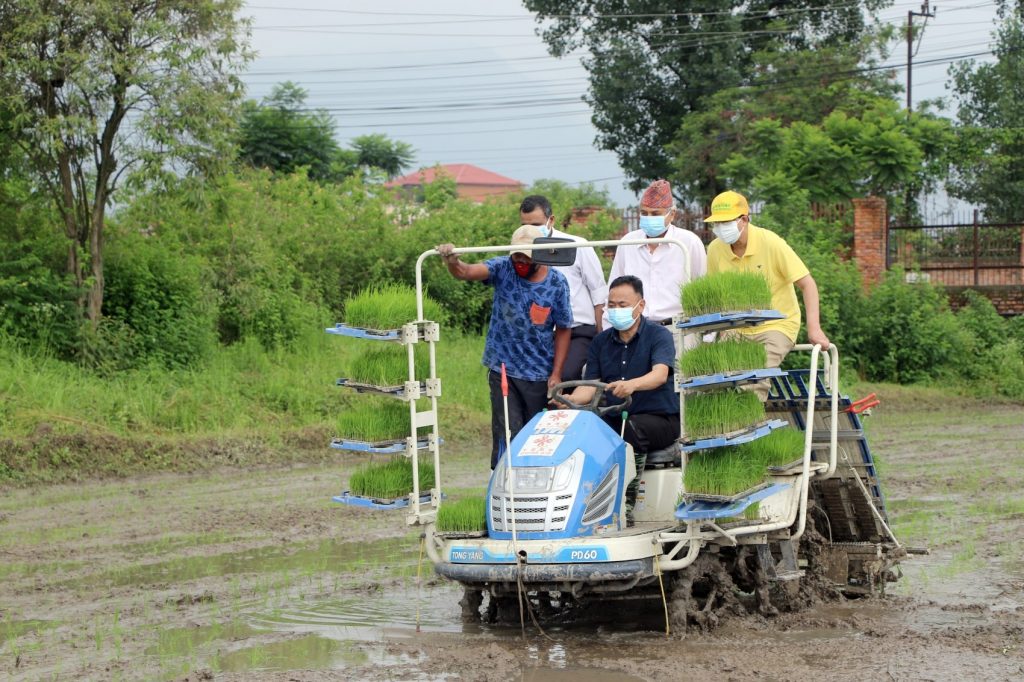 मेसिनबाट धान रोप्ने कार्यक्रम सम्पन्न