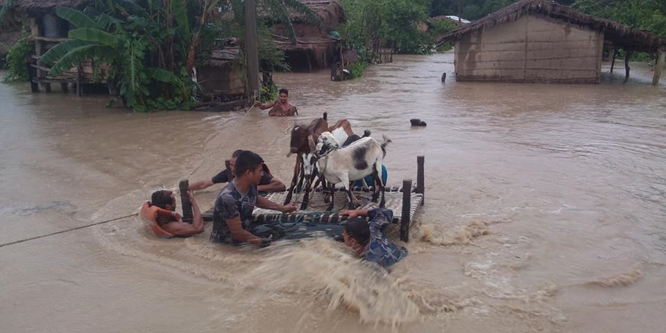 सशस्त्र प्रहरीले डुबानमा परेका ३९ परिवारको खाद्यान्न जोगायो