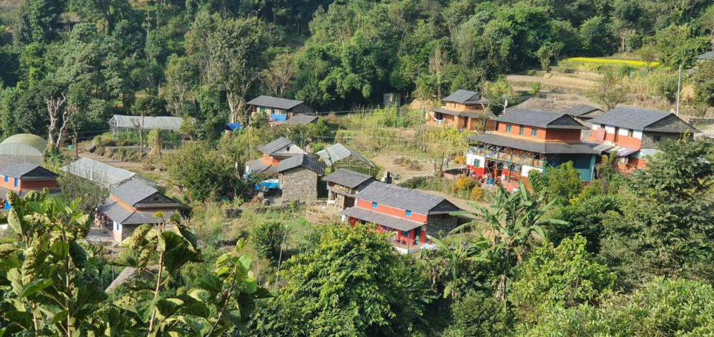 कोरोना कहरले सुनसान घरबास image