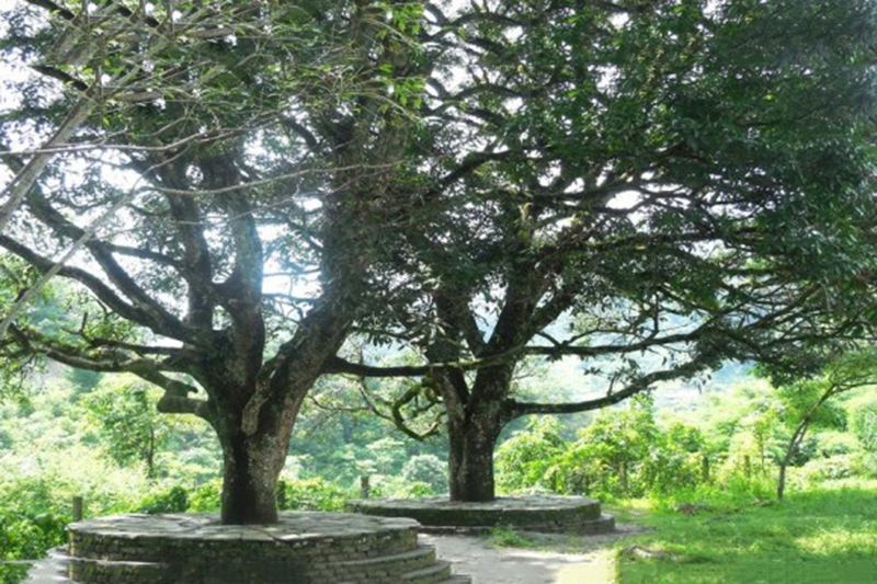 म्याग्दीमा बर–पिपल, चौतारी, पोखरी संरक्षण अभियान